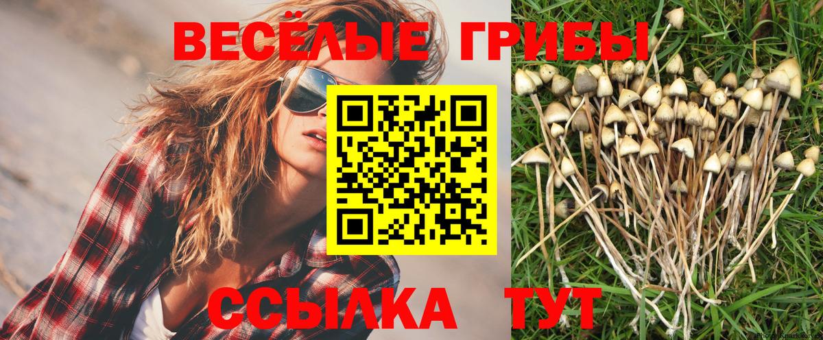 Псилоцибиновые грибы MAGIC MUSHROOMS  Псилоцибиновые грибы Magic Shrooms  Костомукша  Вход с VPN 